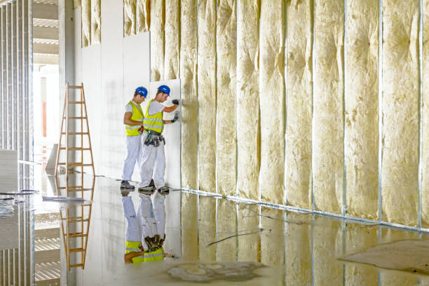 Best Eco-Friendly or Green Insulation Solutions  in Burtonsville, MD